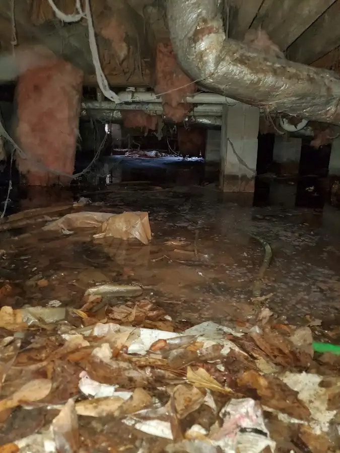 Crawl space flood assessment for Commercial Water Damage Restoration in Bradford