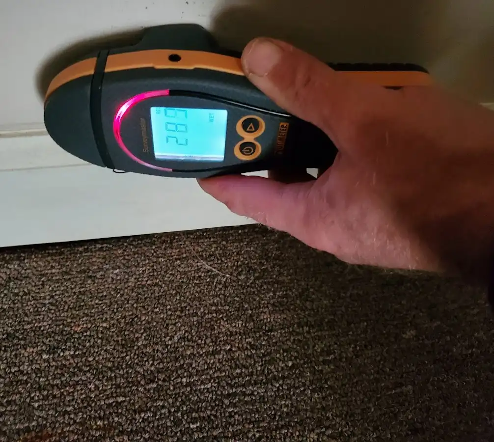 Moisture detection at baseboard during Sewage Cleanup & Sanitation in Bradford